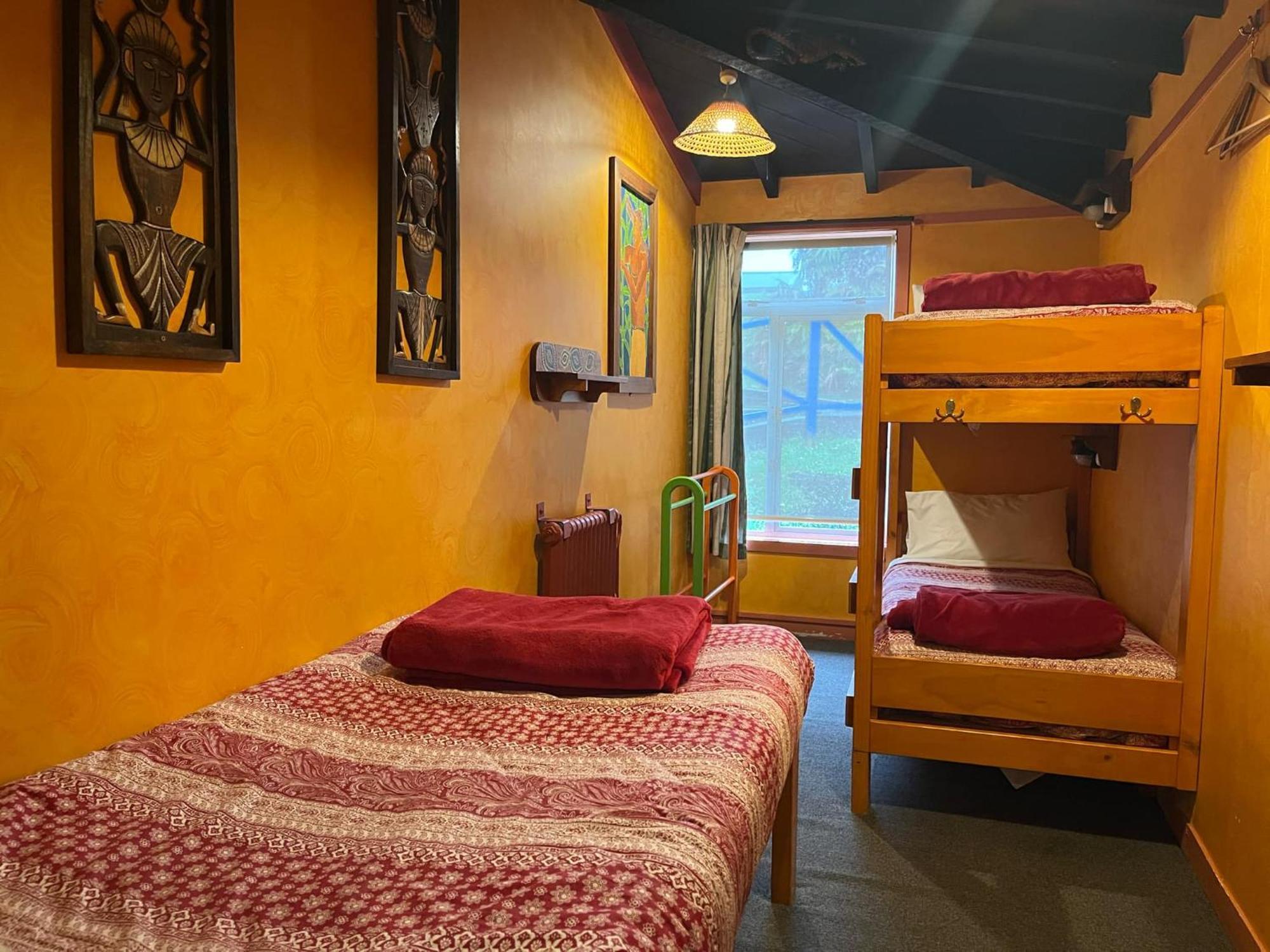 그레이마우스 글로벌 빌리지 트래블러스 로지 호스텔 외부 사진 A typical hostel room
